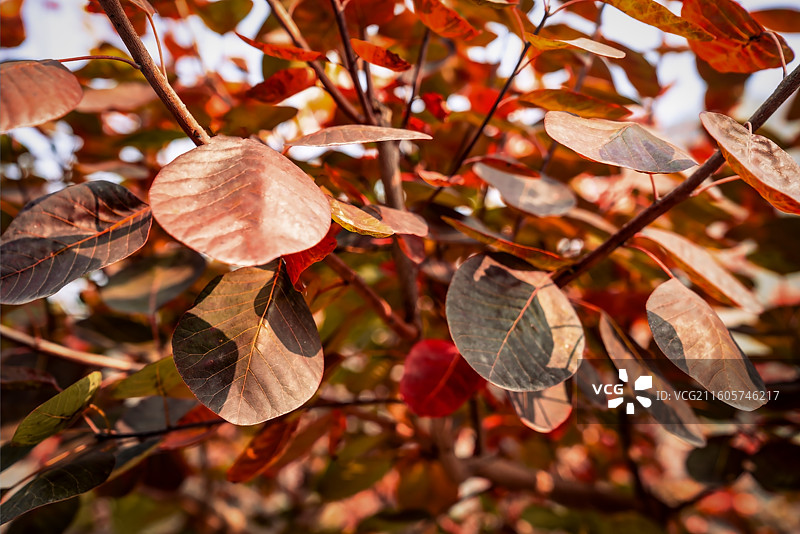 北京坡峰岭图片素材
