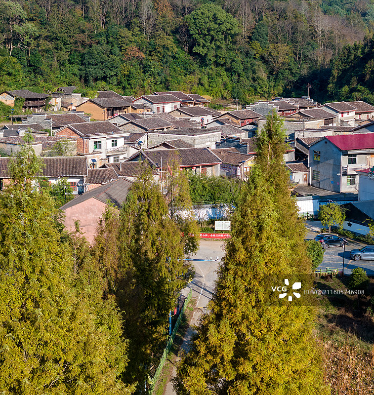 江西抚州金溪县马街村民居、林木，冬季生态环境美景（冬景），人与自然和谐共生的美丽家园。图片素材