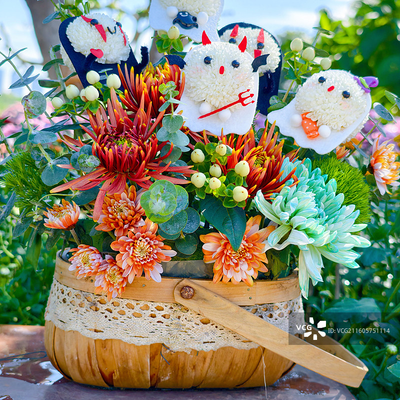 秋天菊花盛开图片素材