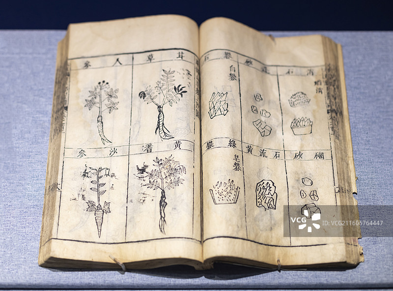 本草纲目 李时珍撰 明万历三十一年（1603年）立达堂刻本 中国国家博物馆图片素材