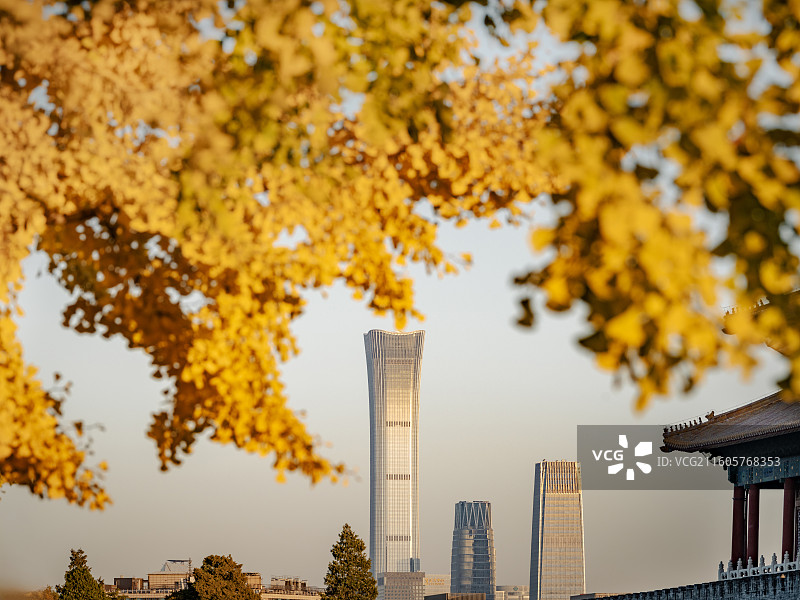 秋天夕阳下的中国尊建筑图片素材