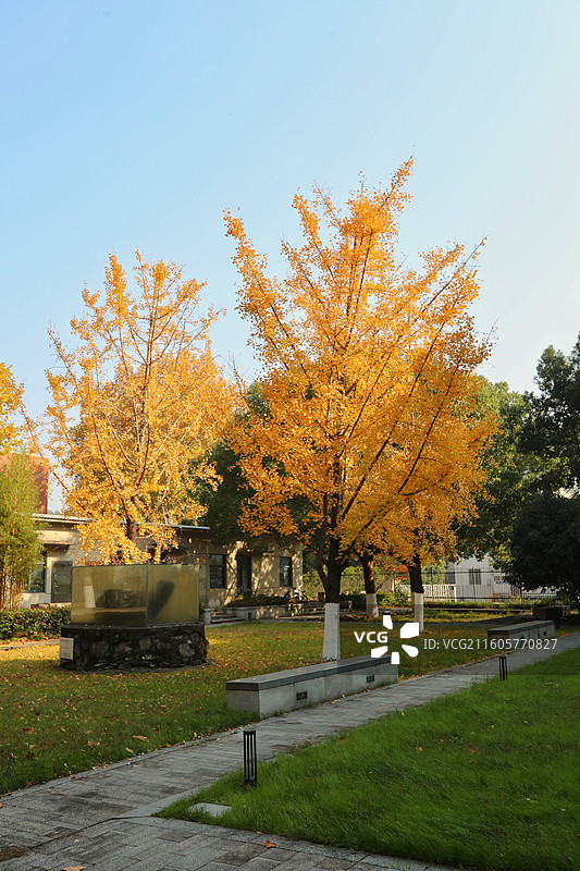 山野秋色图片素材
