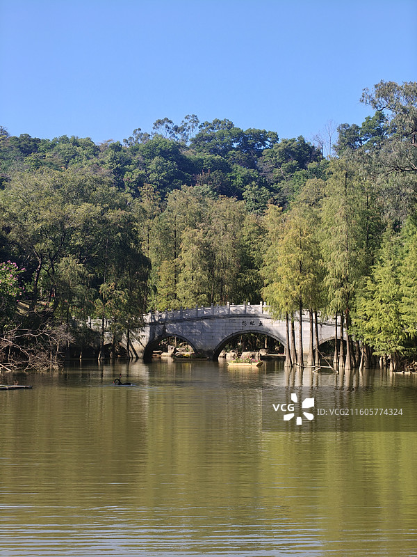 园林，公园图片素材