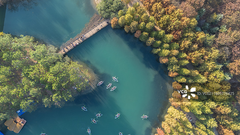 秋天的水杉林和河流-江苏常州新北区新龙生态林图片素材