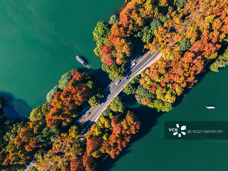 西湖-杨公堤图片素材