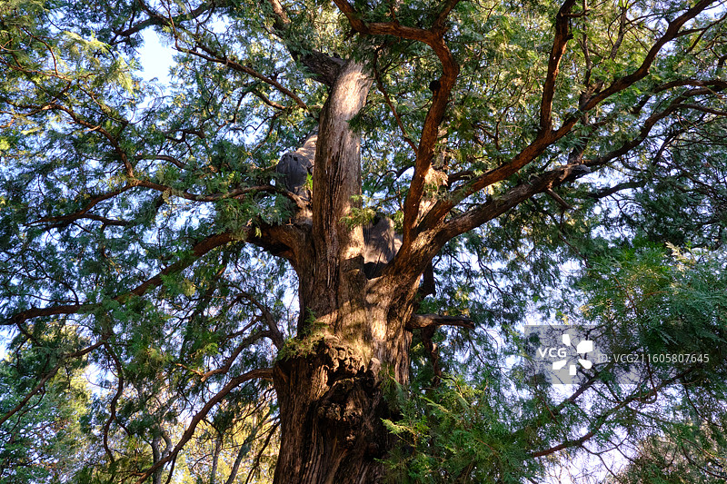 北京香山卧佛寺The Lying Buddha Temple, Beijing图片素材