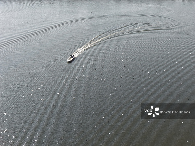 航拍俯拍水面上轮船和红嘴鸥的风景特写图片素材