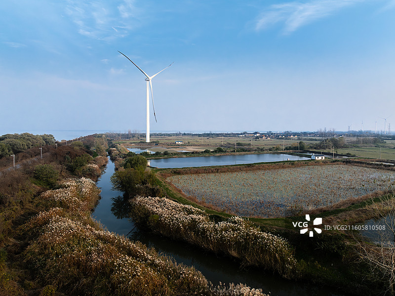 航拍秋天蓝天白云下的扬州高邮湖湖西菱塘乡高邮湖畔风力发电风车及鱼塘风光、芦苇荡、远处的高邮湖风光图片素材