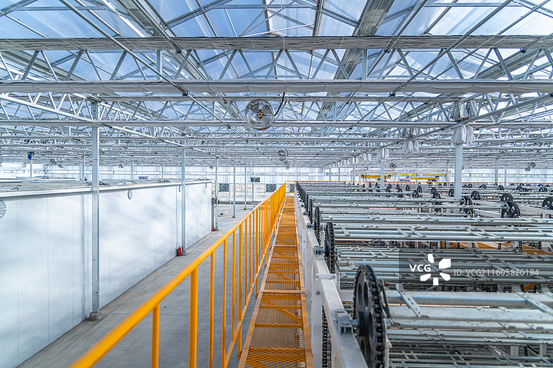 新疆 乌鲁木齐 米东区羊毛工镇  育苗工厂 温室大棚图片素材