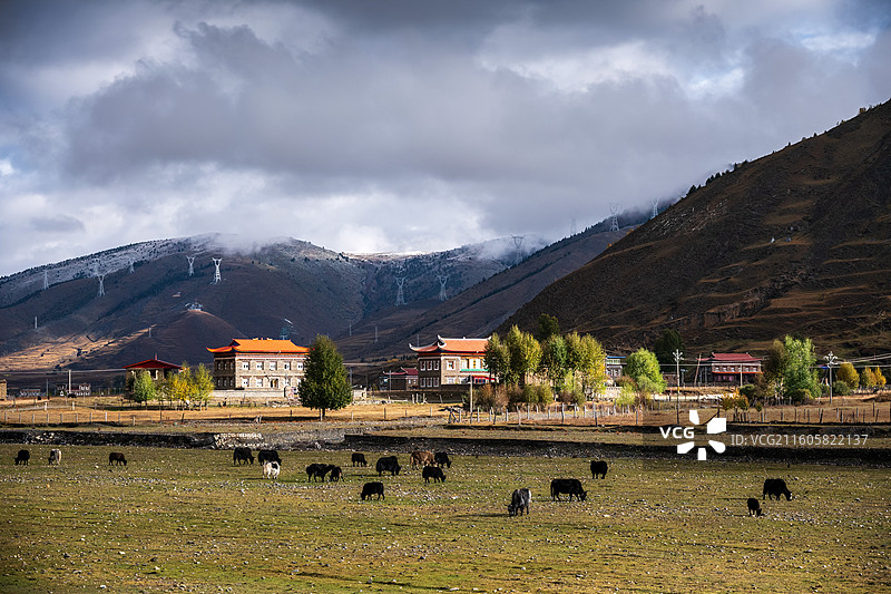秋日的新都桥镇图片素材