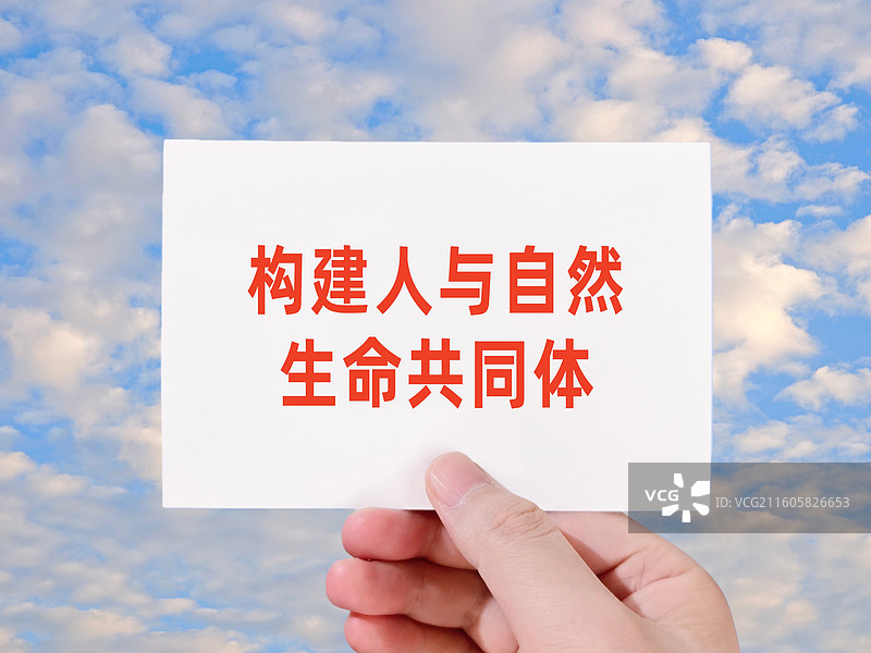 构建人与自然生命共同体图片素材