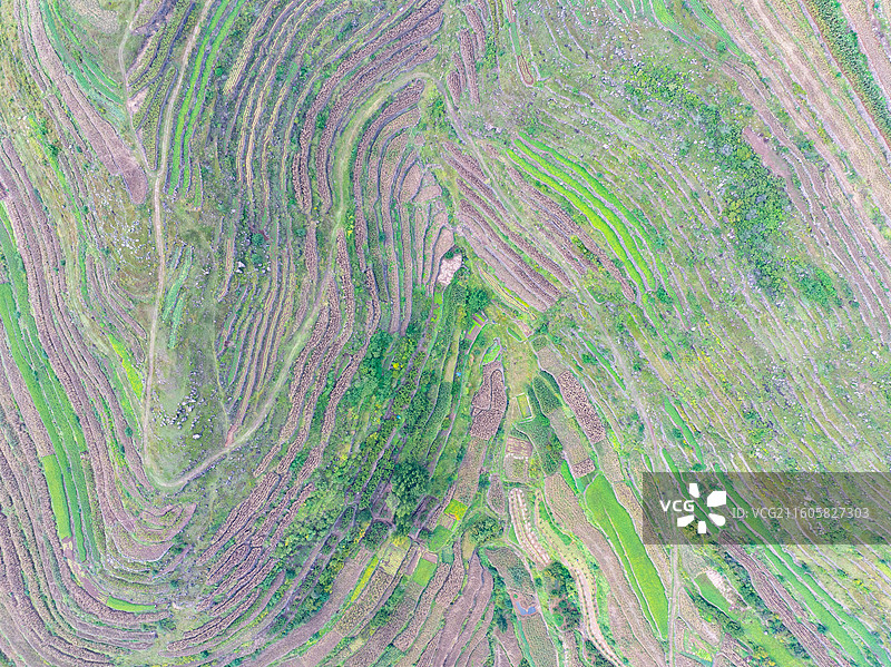 潍坊安丘辉渠梯田图片素材