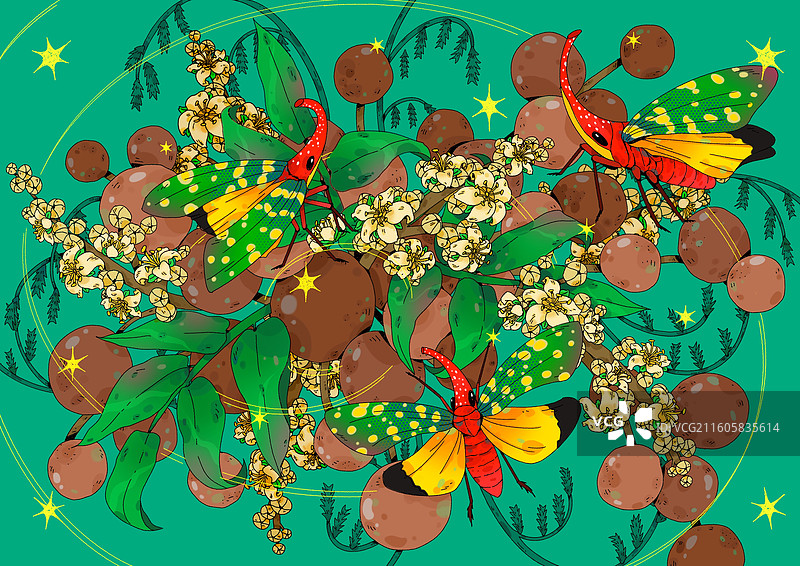 龙眼鸡的夏日派对图片素材