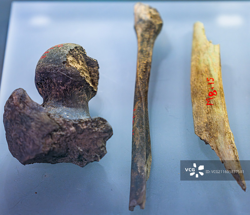 西夏陵 博物馆 一级博物馆图片素材