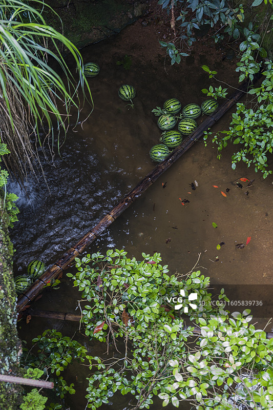 山涧里的西瓜图片素材