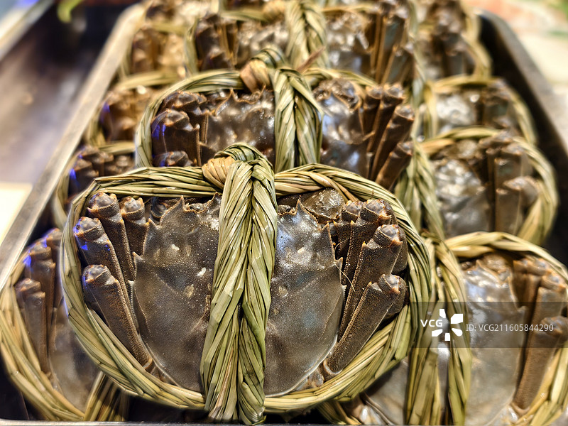 稻绳捆绑的新鲜肥美大闸蟹图片素材