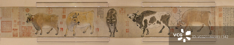 唐代韩滉五牛图卷图片素材