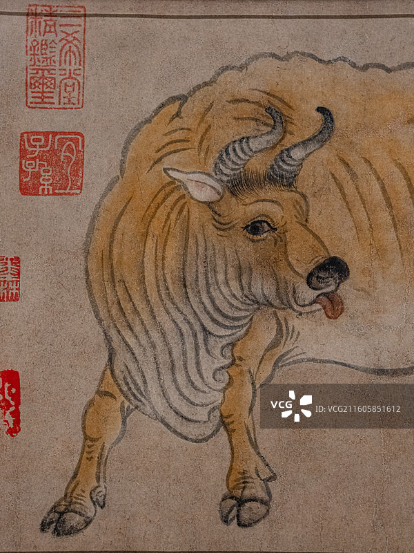 唐代 韩滉 五牛图卷 故宫博物院 镇馆之宝 国宝图片素材