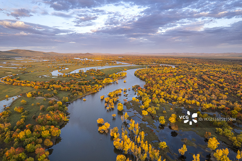 内蒙古呼伦贝尔秋天的森林和额尔古纳河湿地风光图片素材