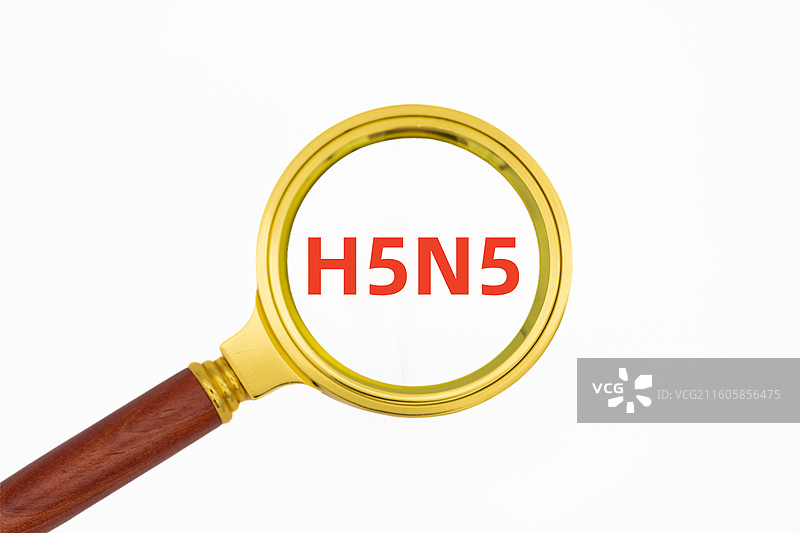 H5N5（H5N5禽流感，H5N5型禽流感，H5N5型禽流感病毒）图片素材
