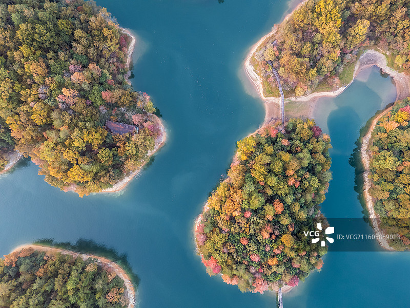 秋天，杭州千岛湖红叶湾航拍，碧蓝湖泊上的岛屿秋叶泛红图片素材