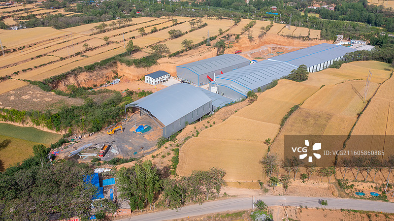 河南郑州荥阳梯田小麦丰收、夏季风光图片素材