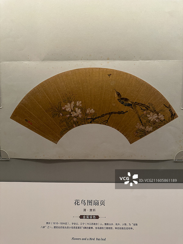 中国古代扇图片素材