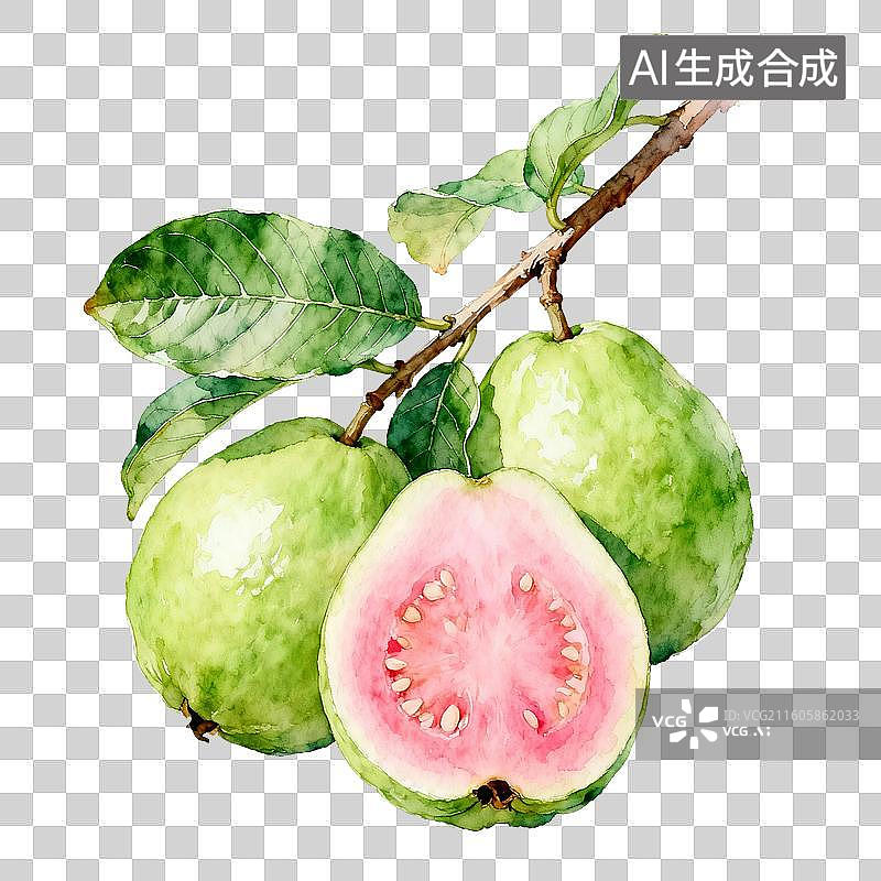 【AI数字艺术】手绘插画，芭乐，番石榴，水果，免抠元素图片素材