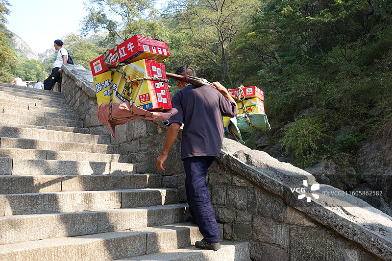 山东省泰安市东岳泰山：挑山工图片素材