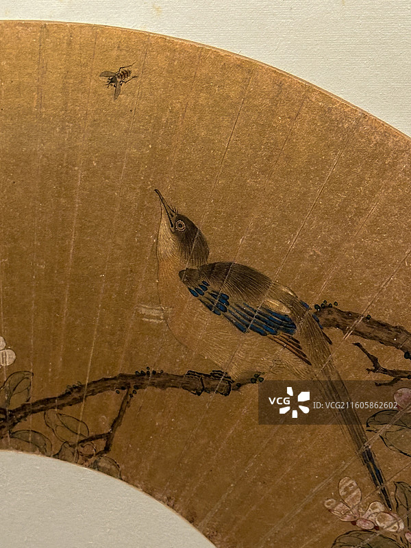 中国古代扇图片素材