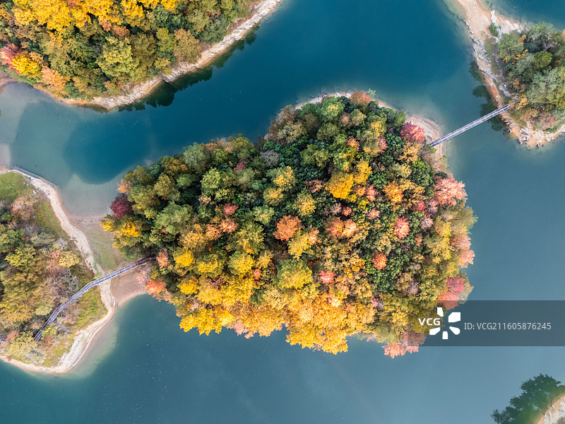 秋天，杭州千岛湖红叶湾航拍，碧蓝湖泊上的岛屿秋叶泛红图片素材