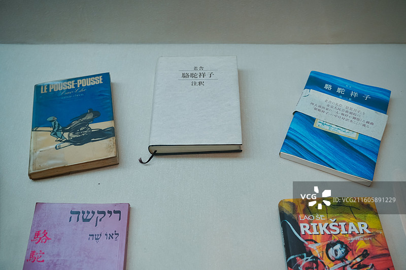 国外出版的《骆驼祥子》各种版本  山东省青岛市骆驼祥子博物馆（老舍故居）图片素材