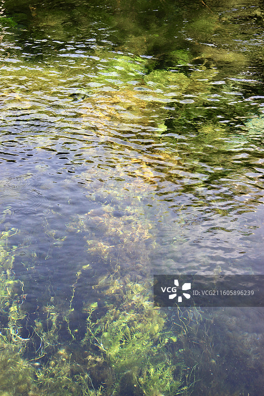 济南白石泉清澈泉水图片素材