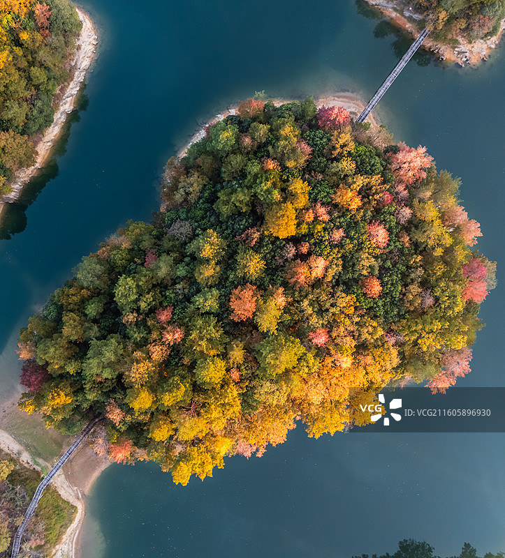 秋天，杭州千岛湖红叶湾航拍，碧蓝湖泊上的岛屿秋叶泛红图片素材