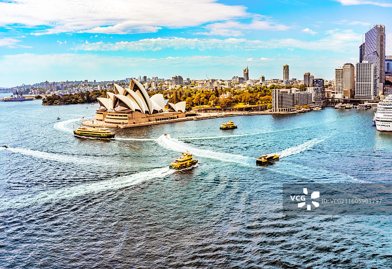悉尼湾海港图片素材