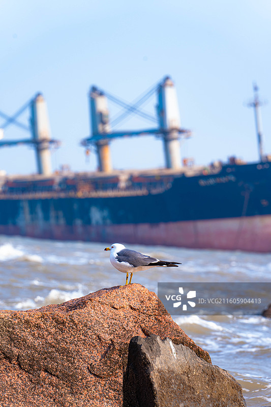 布鲁维斯号沉船图片素材