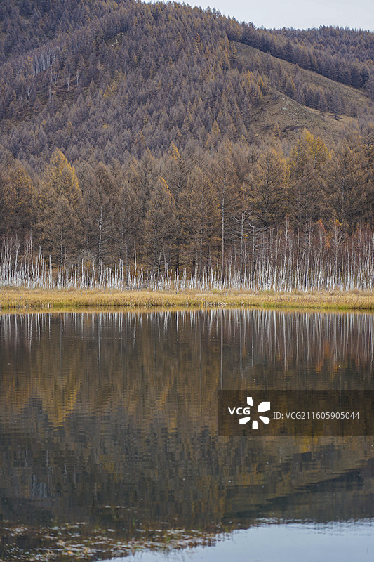 阿尔山国家森林公园,乌苏浪子湖,秋天的自热风光图片素材