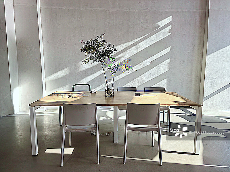 现代简洁风光装修装潢 桌子上的马醉木图片素材