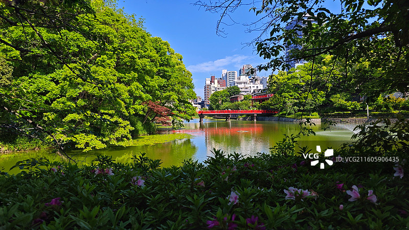 日本大阪四天王寺公园紧邻四天王寺，园内花木繁茂，有池塘点缀，与古寺建筑相映成趣，充满宁静禅意。图片素材