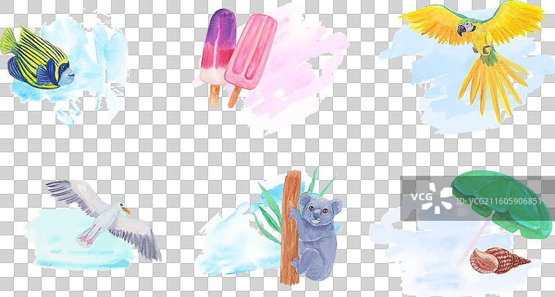 水彩夏日徽章系列图片素材