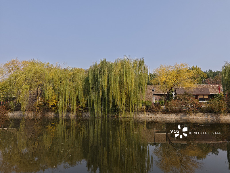 天津南翠屏公园之秋图片素材