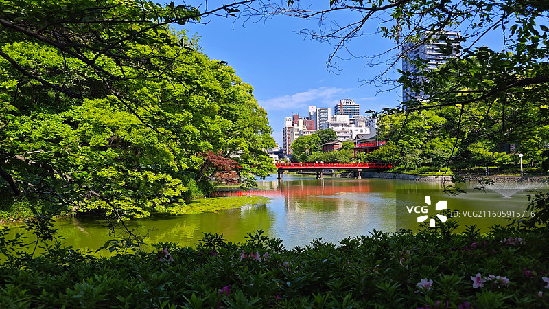 日本大阪四天王寺公园紧邻四天王寺，园内花木繁茂，有池塘点缀，与古寺建筑相映成趣，充满宁静禅意。图片素材