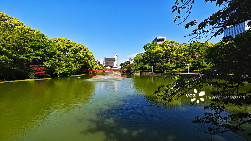 日本大阪四天王寺公园紧邻四天王寺，园内花木繁茂，有池塘点缀，与古寺建筑相映成趣，充满宁静禅意。图片素材