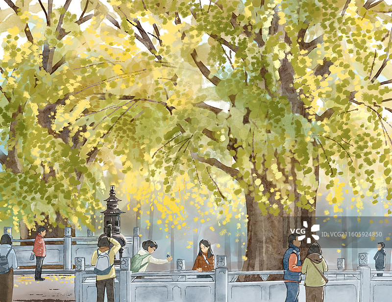 银杏树下图片素材