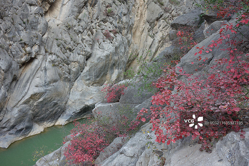 陕西省咸阳市泾阳县郑国渠泾河大峡谷红叶彩林：孔雀湾图片素材