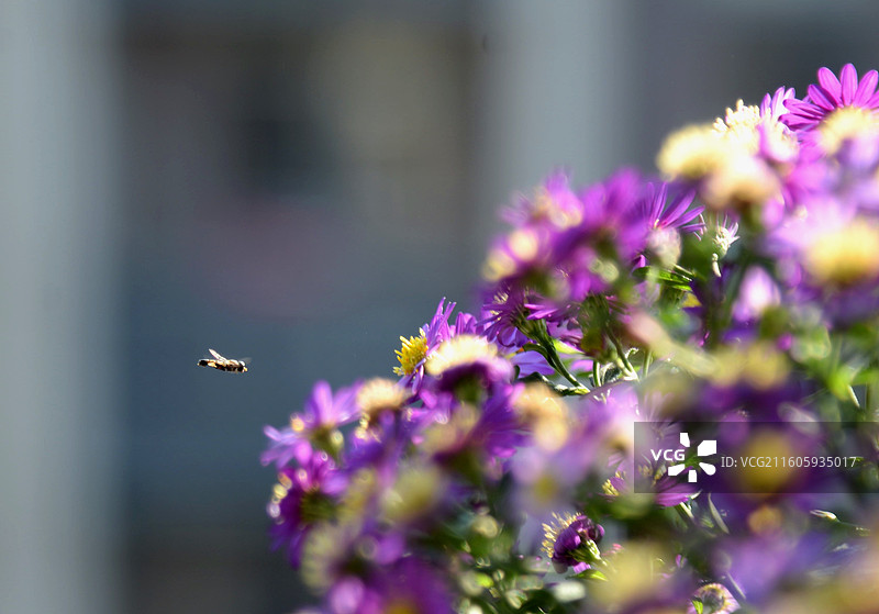 请求降落图片素材