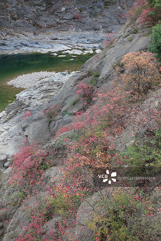 陕西省咸阳市泾阳县郑国渠泾河大峡谷：五彩滩碧水红叶图片素材