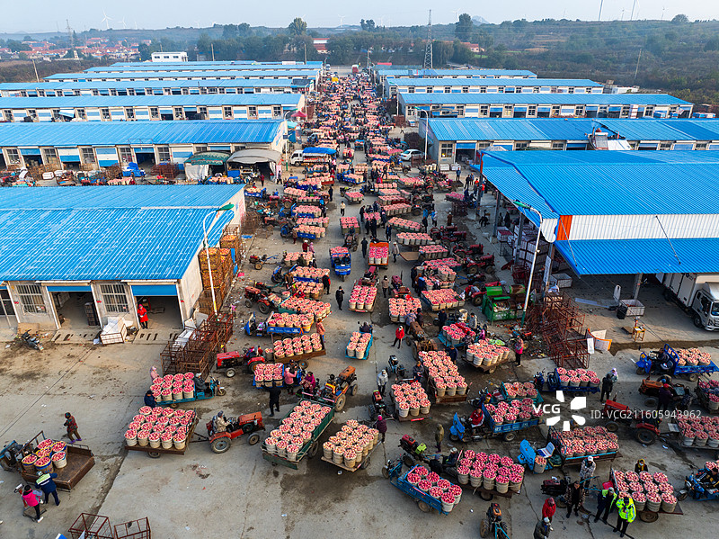 苹果丰收季-鸟瞰栖霞寺口镇苹果交易市场图片素材