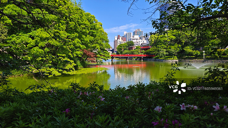 日本大阪四天王寺公园紧邻四天王寺，园内花木繁茂，有池塘点缀，与古寺建筑相映成趣，充满宁静禅意。图片素材