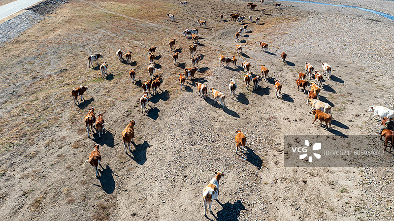 乌兰毛都草原图片素材